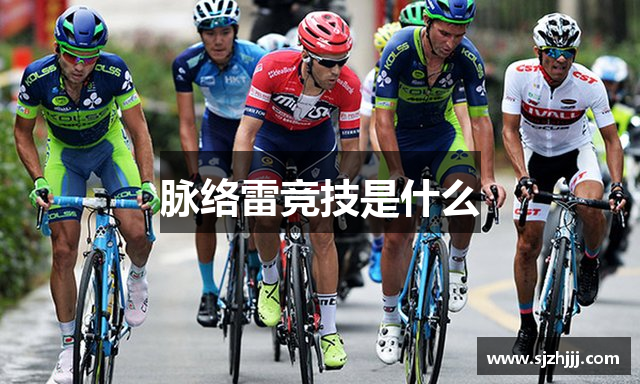 脉络雷竞技是什么